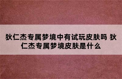 狄仁杰专属梦境中有试玩皮肤吗 狄仁杰专属梦境皮肤是什么